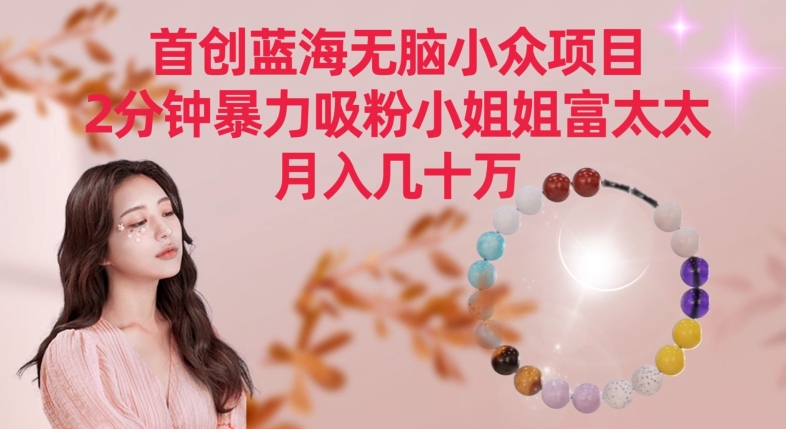 首创蓝海无脑小众项目，2分钟暴力吸粉小姐姐富太太，月入几十万【揭秘】-副业资源站 | 数域行者