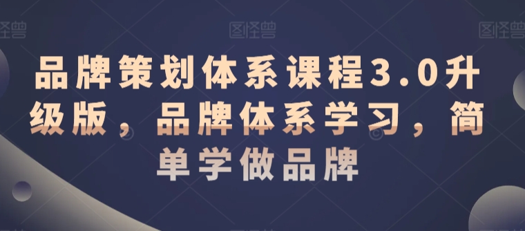品牌策划体系课程3.0升级版，品牌体系学习，简单学做品牌-副业资源站 | 数域行者