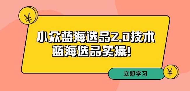 拼多多培训第33期：小众蓝海选品2.0技术-蓝海选品实操！-副业资源站 | 数域行者