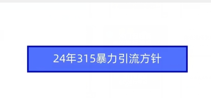 24年315暴力引流方针-副业资源站 | 数域行者