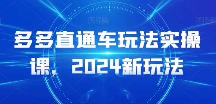 多多直通车玩法实操课，2024新玩法-副业资源站 | 数域行者