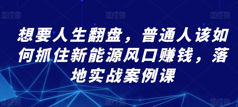 想要人生翻盘，普通人该如何抓住新能源风口赚钱，落地实战案例课-副业资源站 | 数域行者