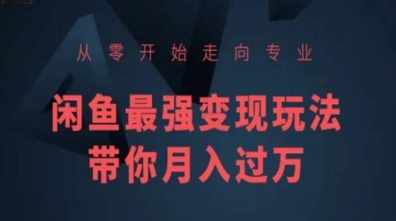 从零开始走向专业，闲鱼最强变现玩法带你月入过万-副业资源站 | 数域行者
