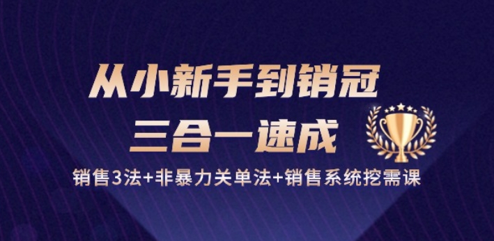 从小新手到销冠 三合一速成：销售3法+非暴力关单法+销售系统挖需课 (27节)-副业资源站 | 数域行者