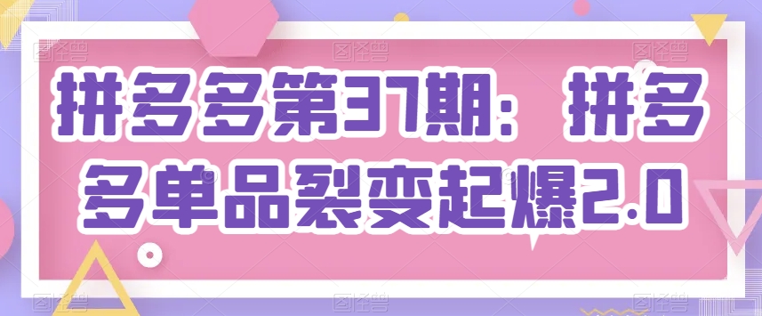 拼多多第37期：拼多多单品裂变起爆2.0-副业资源站 | 数域行者