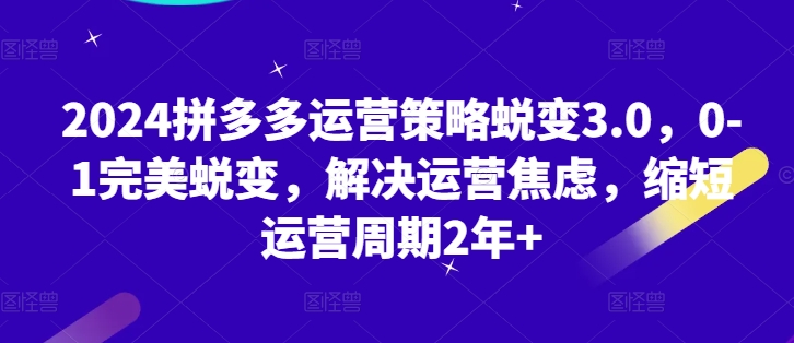 2024拼多多运营策略蜕变3.0，0-1完美蜕变，解决运营焦虑，缩短运营周期2年+-副业资源站 | 数域行者