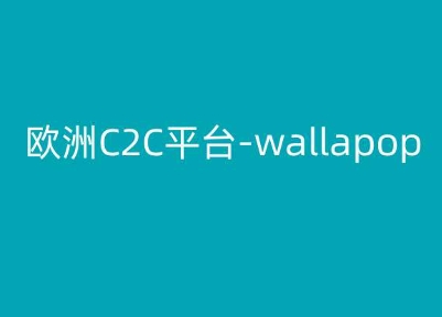欧洲C2C平台-wallapop-kim跨境电商教程-副业资源站 | 数域行者