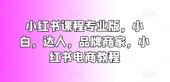 小红书课程专业版，小白，达人，品牌商家，小红书电商教程-副业资源站 | 数域行者