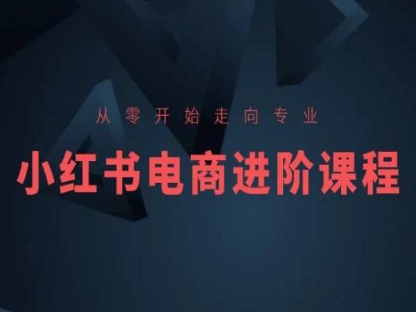 从零开始走向专业，小红书电商进阶课程-副业资源站 | 数域行者