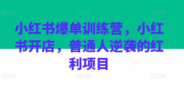 小红书爆单训练营，小红书开店，普通人逆袭的红利项目-副业资源站 | 数域行者