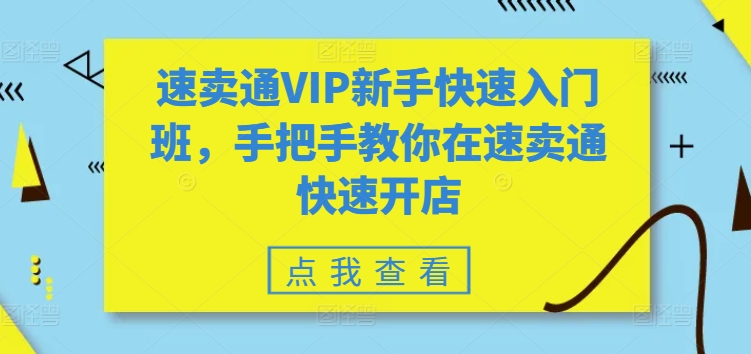 速卖通VIP新手快速入门班，手把手教你在速卖通快速开店-副业资源站 | 数域行者