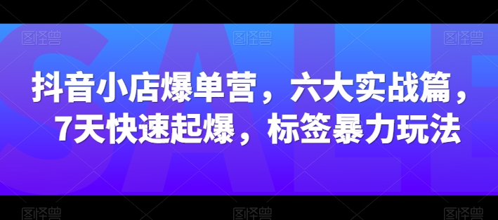 抖音小店爆单营，六大实战篇，7天快速起爆，标签暴力玩法-副业资源站 | 数域行者