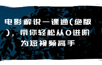 电影解说一课通(绝版)，带你轻松从0进阶为短视频高手-副业资源站 | 数域行者