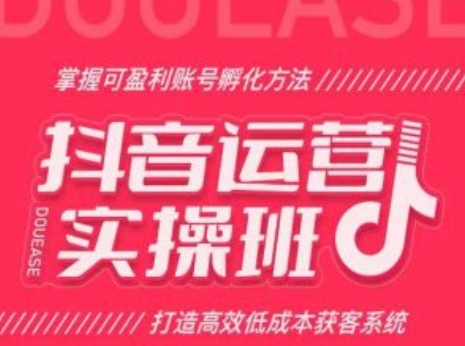 抖音运营实操班，掌握可盈利账号孵化方法，打造高效低成本获客系统-副业资源站 | 数域行者