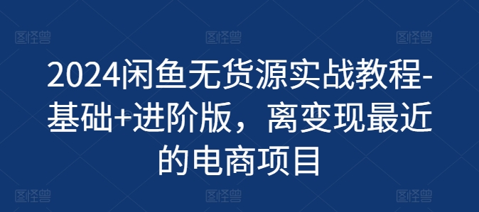 2024闲鱼无货源实战教程-基础+进阶版，离变现最近的电商项目-副业资源站 | 数域行者
