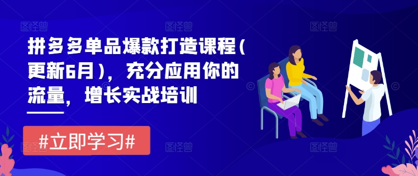 拼多多单品爆款打造课程(更新6月)，充分应用你的流量，增长实战培训-副业资源站 | 数域行者