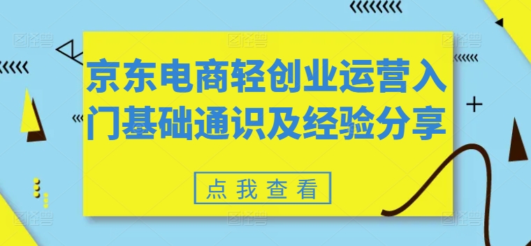 京东电商轻创业运营入门基础通识及经验分享-副业资源站 | 数域行者