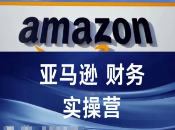 2024必学！亚马逊跨境电商财务实操课，副业新风口，上班族宝妈兼职首选-副业资源站 | 数域行者