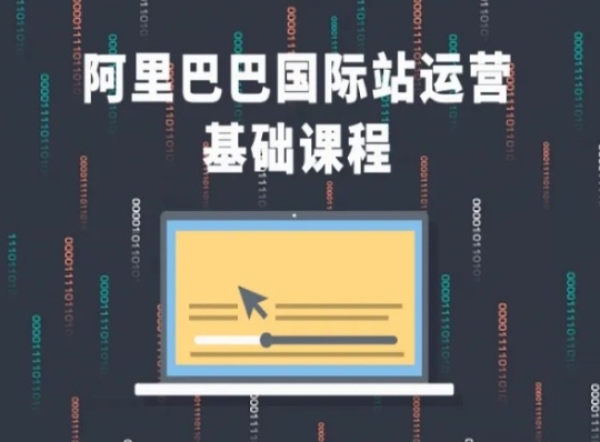 阿里巴巴国际站课程，阿里巴巴国际站运营基础课程-副业资源站 | 数域行者