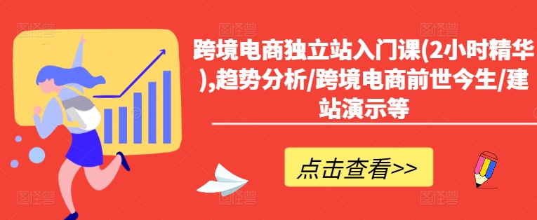 跨境电商独立站速成宝典：2小时精通趋势+历史+实战建站-副业资源站 | 数域行者