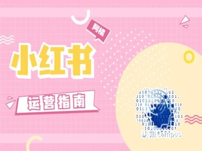 小红书运营秘籍：实战干货，零套路纯经验分享-副业资源站 | 数域行者