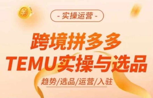 跨境爆单秘籍：TEMU实操+精选选品策略，解锁多多temu跨境运营新高度-副业资源站 | 数域行者