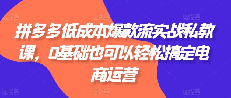 拼多多低成本爆款流实战私教课，0基础也可以轻松搞定电商运营-副业资源站 | 数域行者