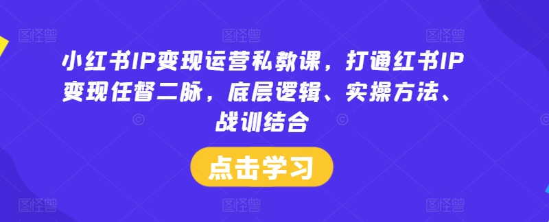 小红书IP变现实战秘籍：解锁任督二脉，精通底层逻辑+实操绝技，战训融合速通变现之路-副业资源站 | 数域行者