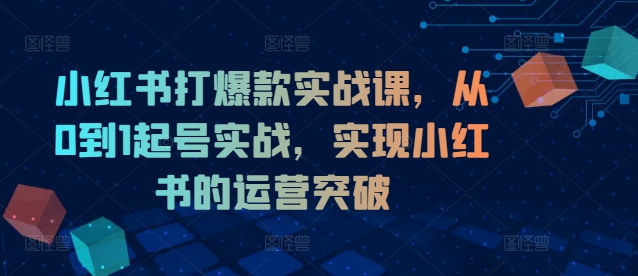 小红书爆款打造秘籍：0基础起号实战课，运营突破新境界-副业资源站 | 数域行者