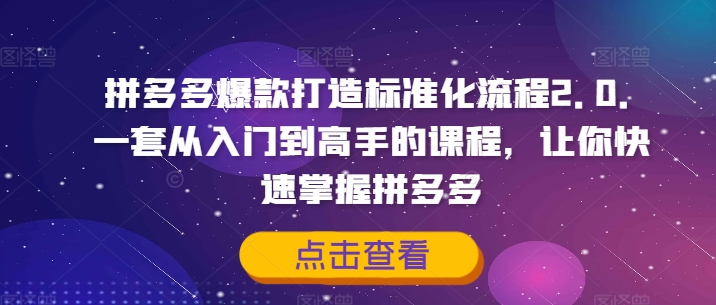 拼多多爆款速成秘籍2.0：新手秒变高手，轻松驾驭拼多多市场-副业资源站 | 数域行者