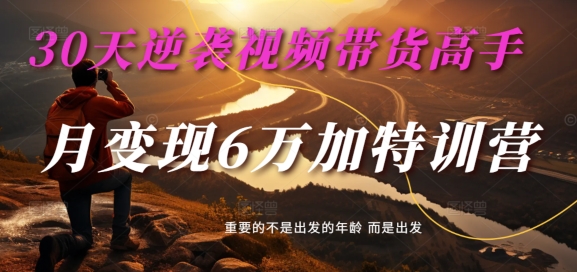30天逆袭视频带货高手，单月变现6万加特训营-麦子甜-副业资源站 | 数域行者