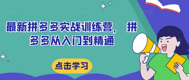 最新拼多多实战训练营， 拼多多从入门到精通-副业资源站 | 数域行者