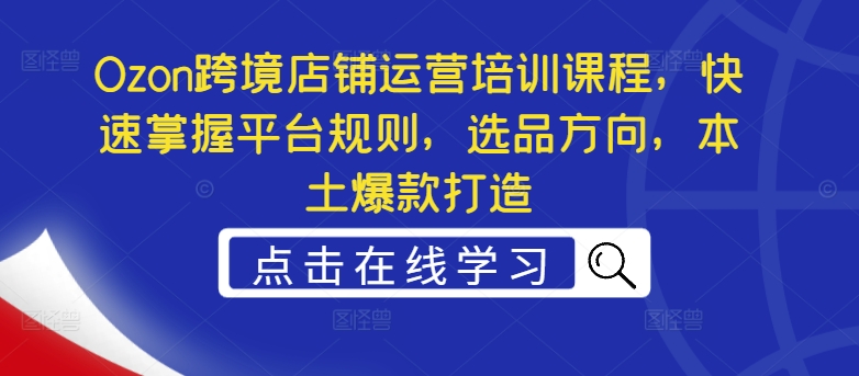 Ozon跨境店铺运营培训课程，快速掌握平台规则，选品方向，本土爆款打造-副业资源站 | 数域行者