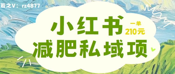 小红书减肥粉，私域变现项目，一单就达210元，小白也能轻松上手【揭秘】-副业资源站 | 数域行者