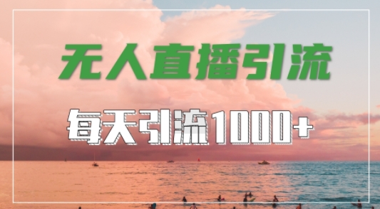 抖音快手视频号全平台通用，无人直播引流法，超暴力引流1000+高质量精准创业粉【揭秘】-副业资源站 | 数域行者