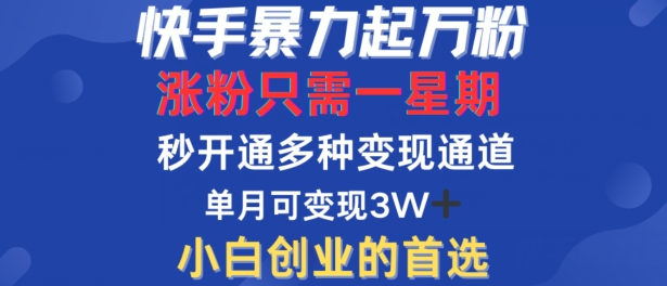 快手暴力起万粉，涨粉只需一星期，多种变现模式，直接秒开万合，单月变现过W【揭秘】-副业资源站 | 数域行者