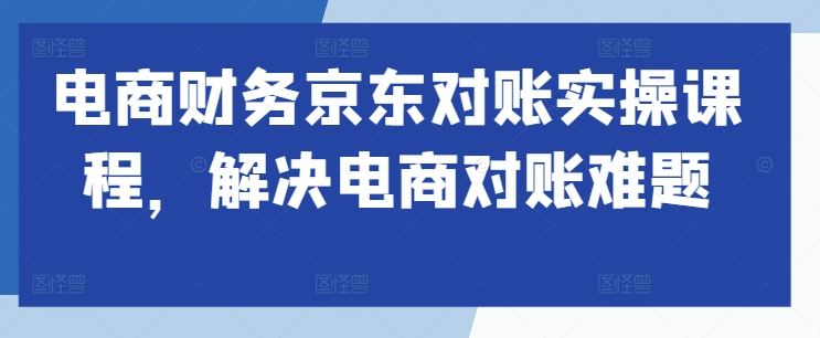 电商财务京东对账实操课程，解决电商对账难题-副业资源站 | 数域行者