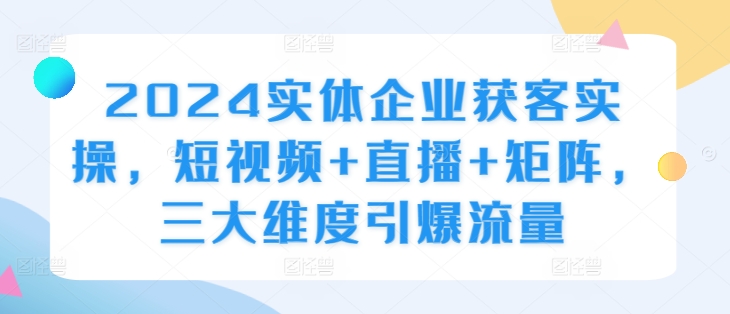 2024实体企业获客实操，短视频+直播+矩阵，三大维度引爆流量-副业资源站 | 数域行者