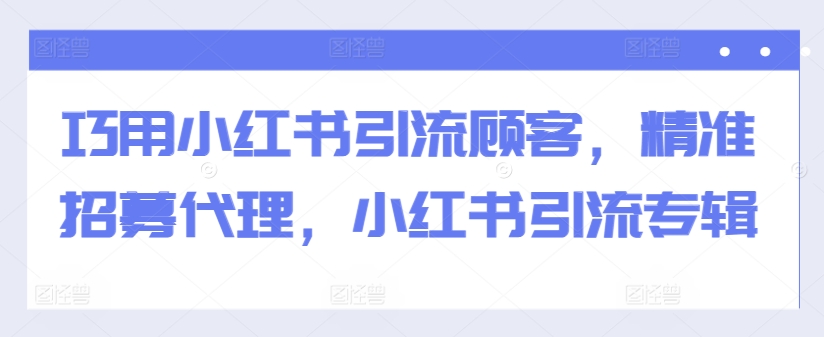 巧用小红书引流顾客，精准招募代理，小红书引流专辑-副业资源站 | 数域行者