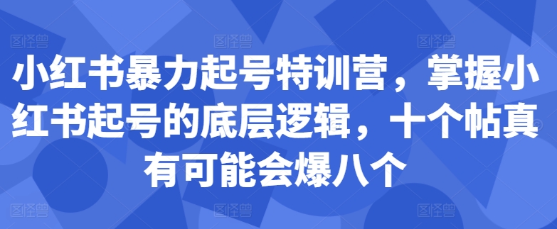 小红书暴力起号特训营，掌握小红书起号的底层逻辑，十个帖真有可能会爆八个-副业资源站 | 数域行者