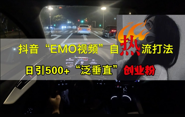抖音EMO视频自热打法，日引500+“泛垂直”创业粉-副业资源站 | 数域行者