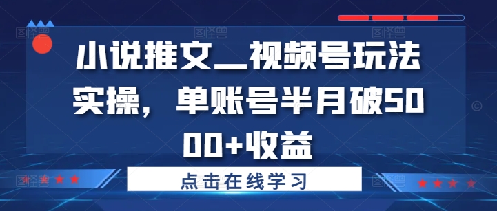 小说推文—视频号玩法实操，单账号半月破5000+收益-副业资源站 | 数域行者