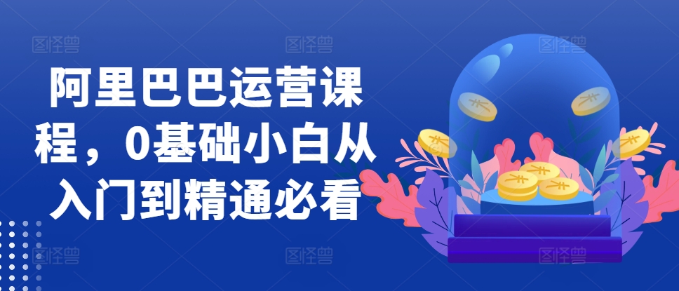阿里巴巴运营课程，0基础小白从入门到精通必看-副业资源站 | 数域行者