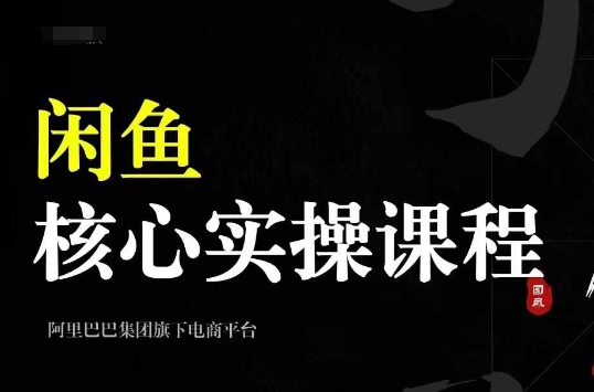 2024闲鱼核心实操课程，从养号、选品、发布、销售，教你做一个出单的闲鱼号-副业资源站 | 数域行者