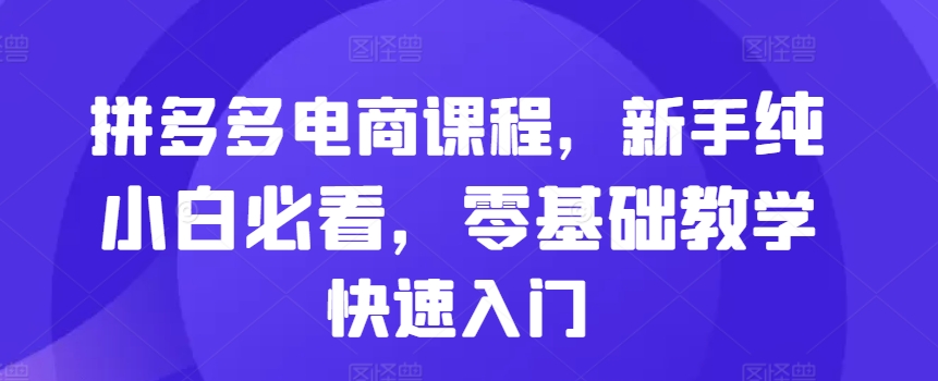 拼多多电商课程，新手纯小白必看，零基础教学快速入门-副业资源站 | 数域行者