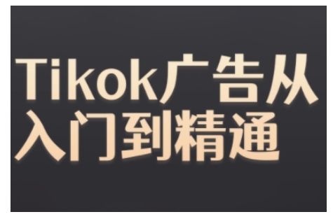 Tiktok Ads实操教程，Tiktok广告从入门到精通-副业资源站 | 数域行者