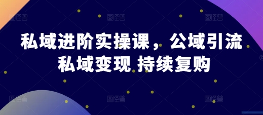 私域进阶实操课，公域引流 私域变现 持续复购-副业资源站 | 数域行者