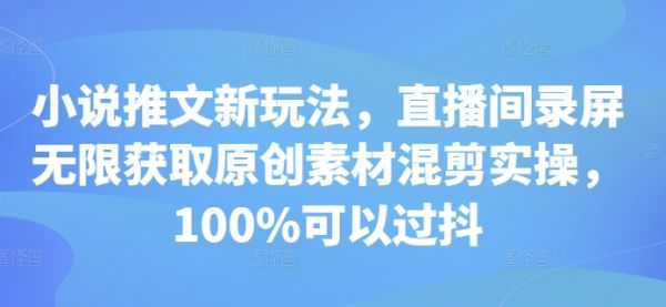 小说推文新玩法，直播间录屏无限获取原创素材混剪实操，100%可以过抖-副业资源站 | 数域行者