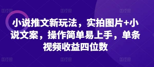 小说推文新玩法，实拍图片+小说文案，操作简单易上手，单条视频收益四位数-副业资源站 | 数域行者