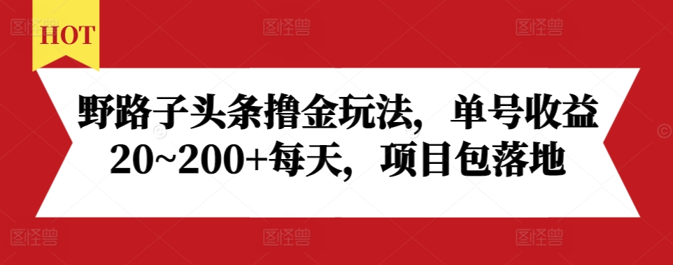 野路子头条撸金玩法，单号收益20~200+每天，项目包落地-副业资源站 | 数域行者